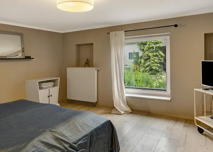 ファームステイ Vierseitenhof Mit Pool ツィーザル